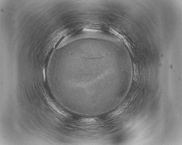 X0000059250061200510141139