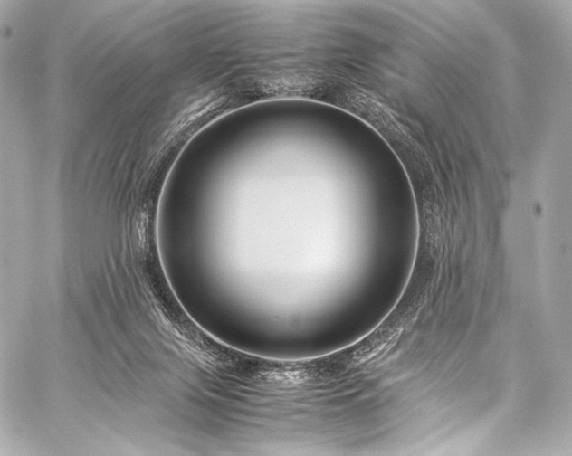 X0000059250071200510141139
