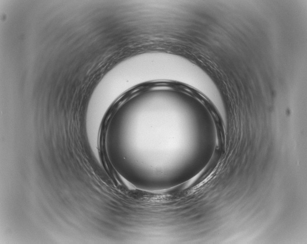 X0000059250078200510141139