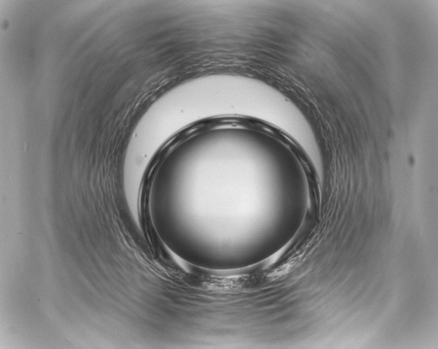 X0000059250079200510141139