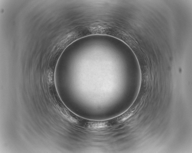 X0000059250081200510141139