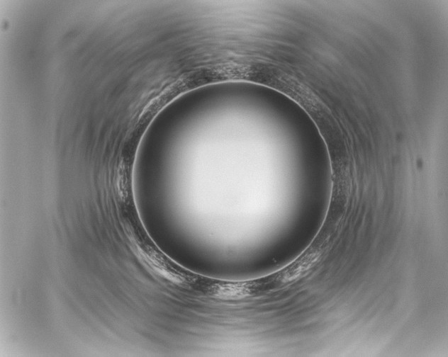 X0000059250088200510141139