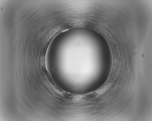 X0000059250096200510141139