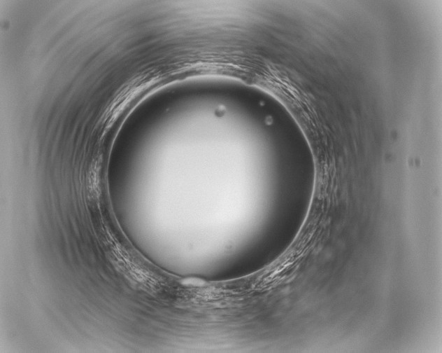 X0000059250098200510141138