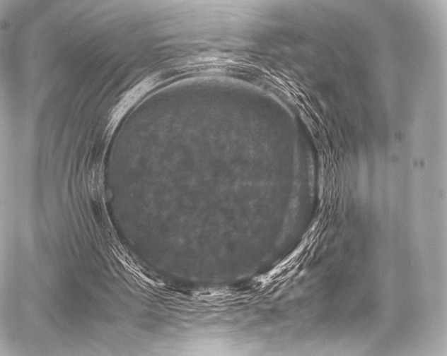 X0000059250099200510141138