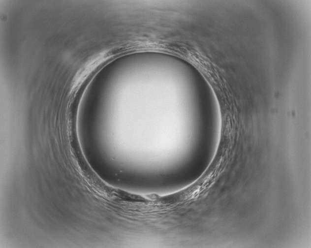 X0000059250103200510141138