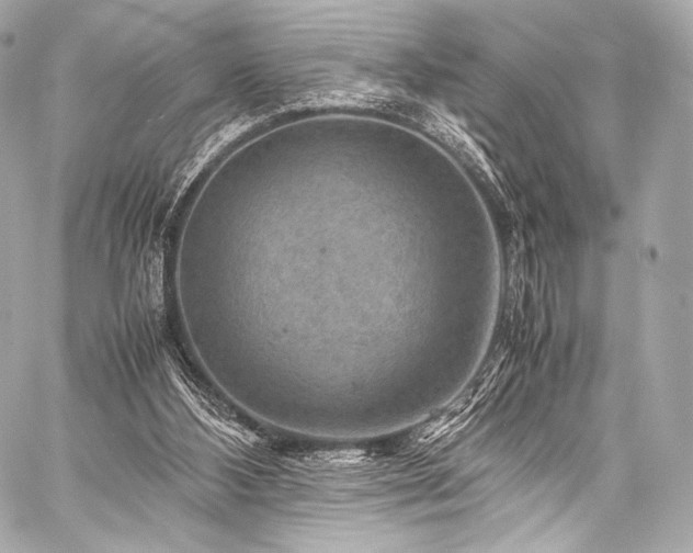 X0000059250108200510141138