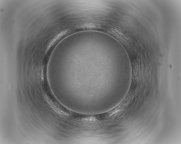 X0000059250112200510141138