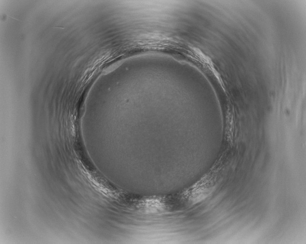 X0000059250114200510141138