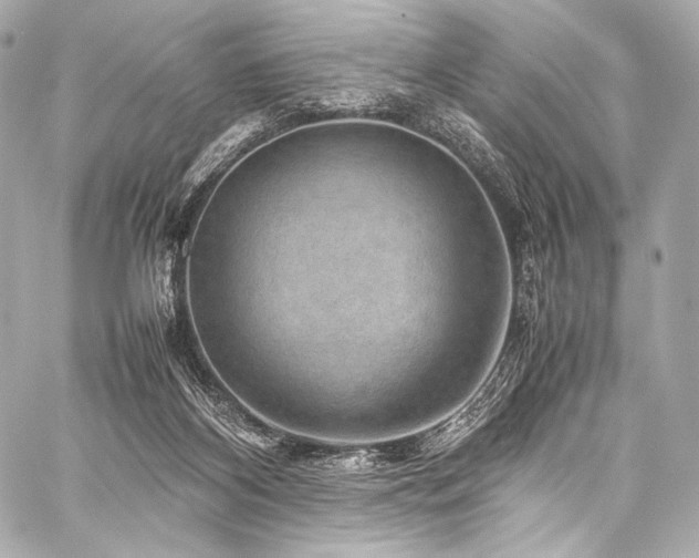 X0000059250116200510141138