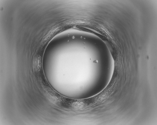 X0000059250119200510141138