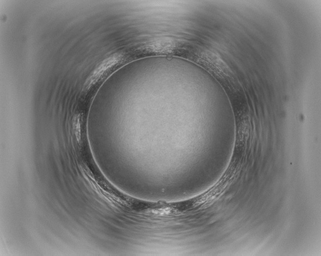 X0000059250120200510141138