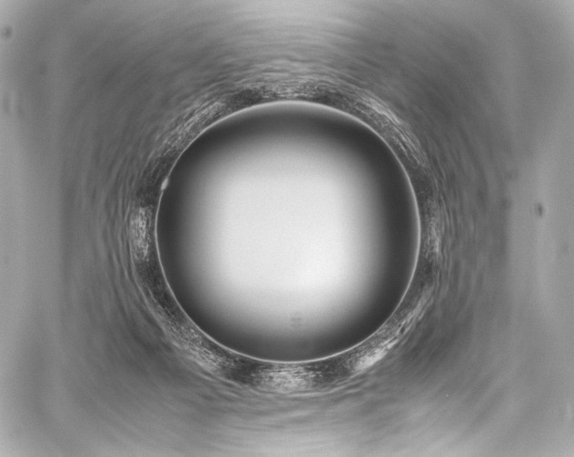X0000059250121200510141138