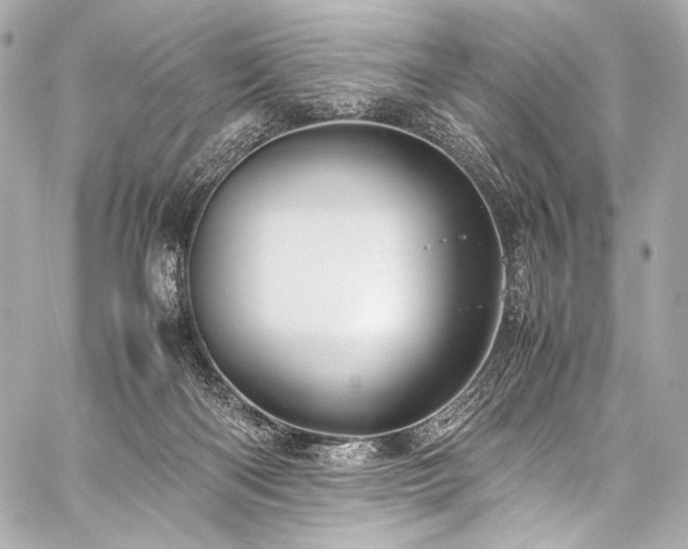 X0000059250122200510141138