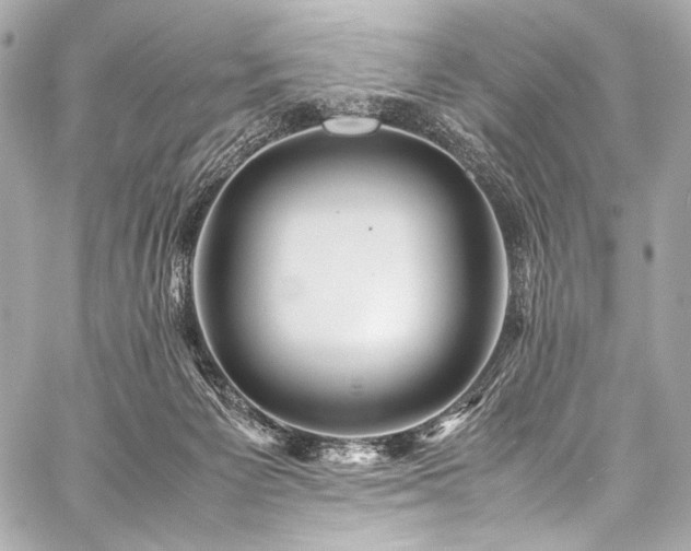 X0000059250125200510141138