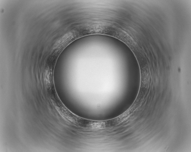 X0000059250126200510141138