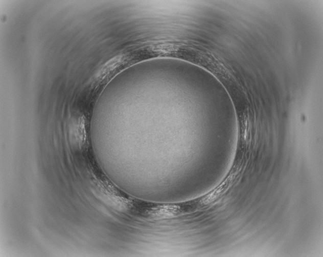 X0000059250128200510141138