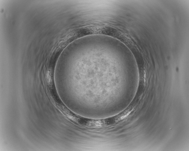 X0000059250131200510141138