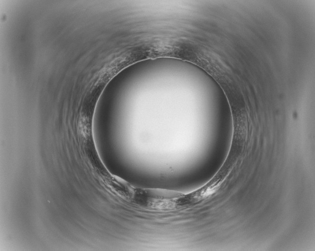 X0000059250135200510141138