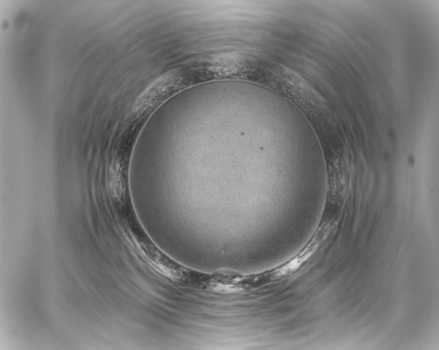 X0000059250136200510141138