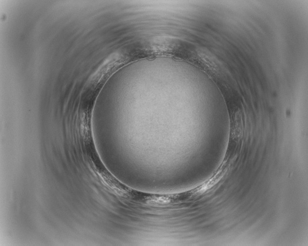 X0000059250140200510141138