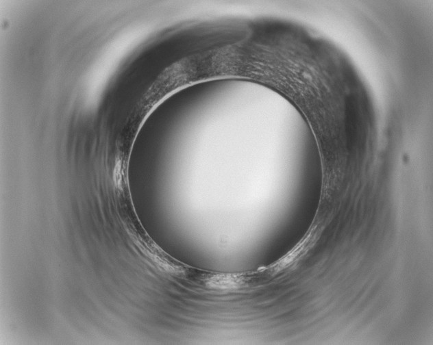 X0000059250142200510141138