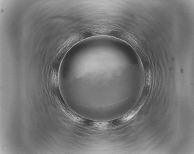 X0000059250143200510141138