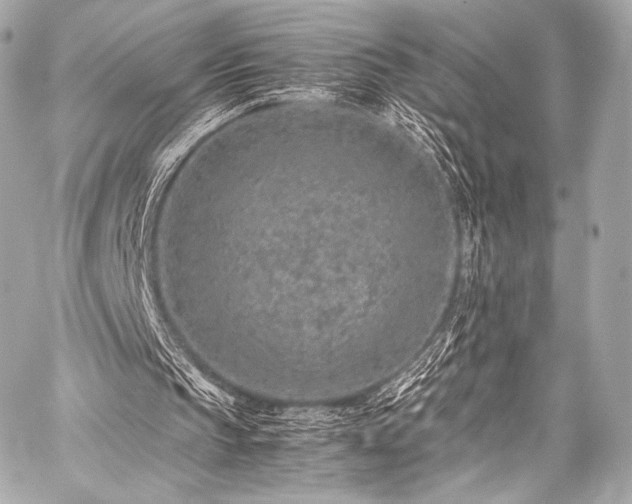 X0000059250145200510141137
