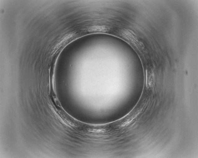 X0000059250157200510141137