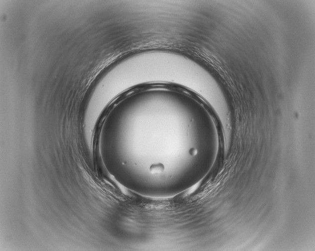 X0000059250164200510141137