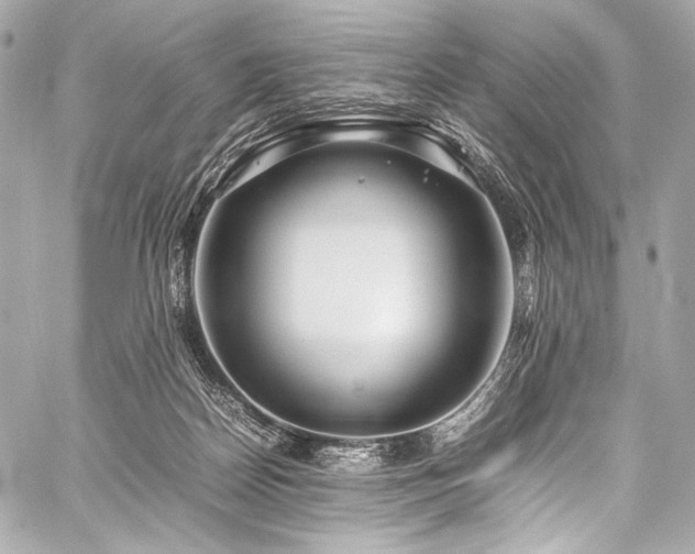 X0000059250170200510141137