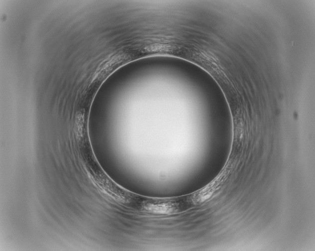 X0000059250171200510141137