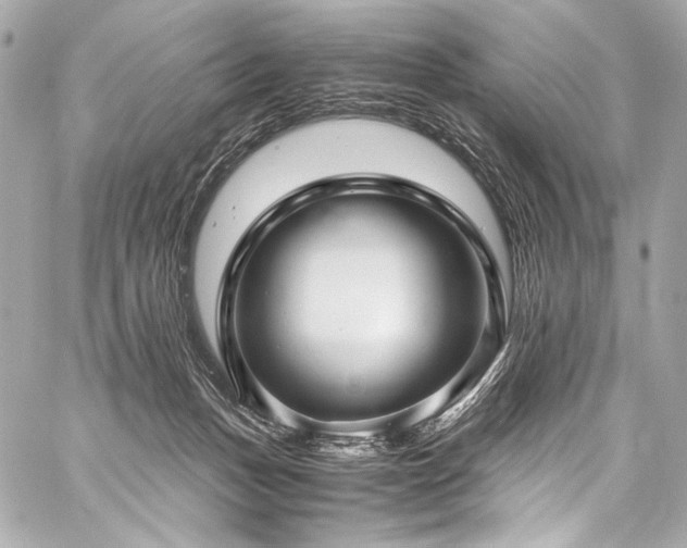 X0000059250175200510141137
