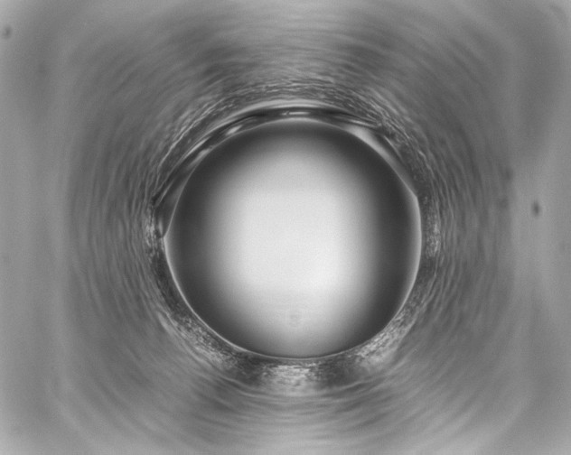 X0000059250176200510141137