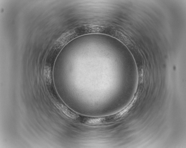X0000059250178200510141137