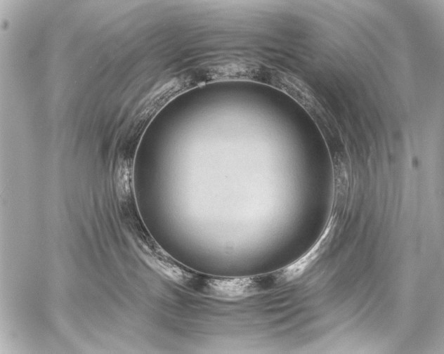 X0000059250191200510141138