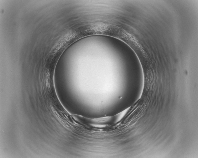 X0000059250212200510141136