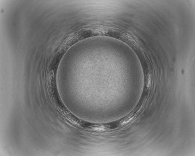 X0000059250229200510141136