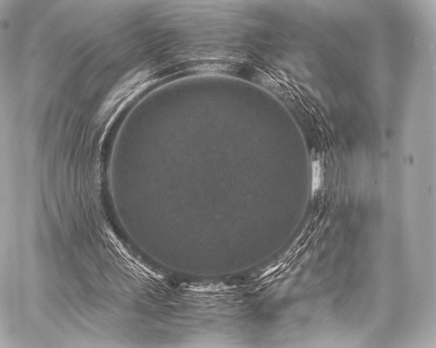 X0000059250243200510141135