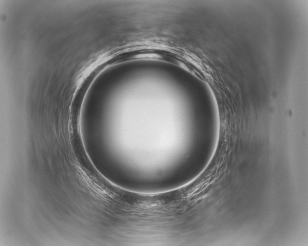 X0000059250248200510141135