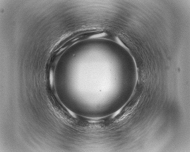 X0000059250256200510141135