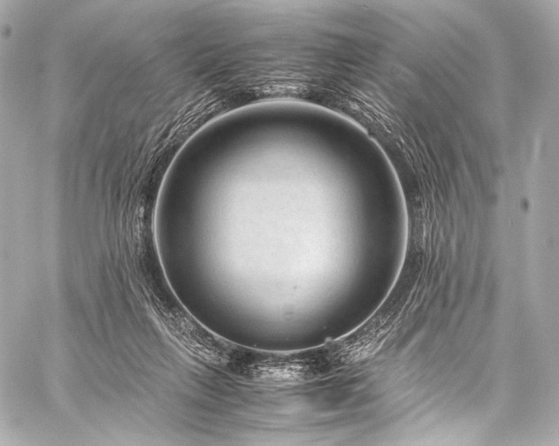 X0000059250263200510141136
