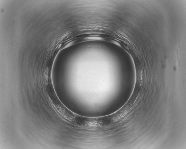 X0000059250264200510141136