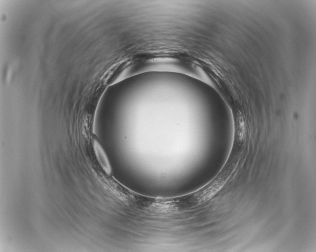 X0000059250280200510141136