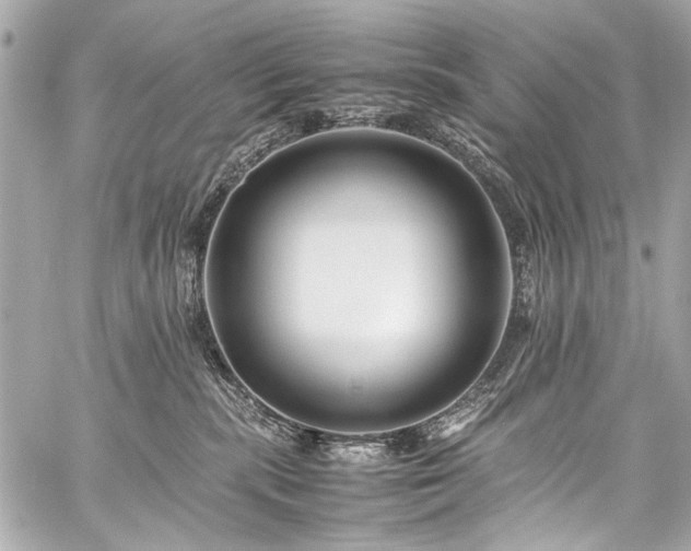 X0000059250283200510141136