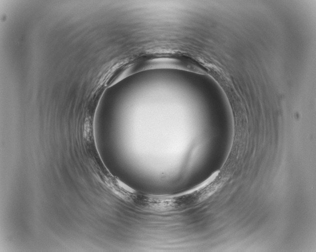 X0000059250288200510141136