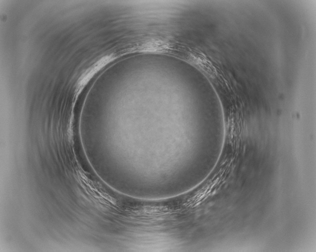 X0000059250292200510141135