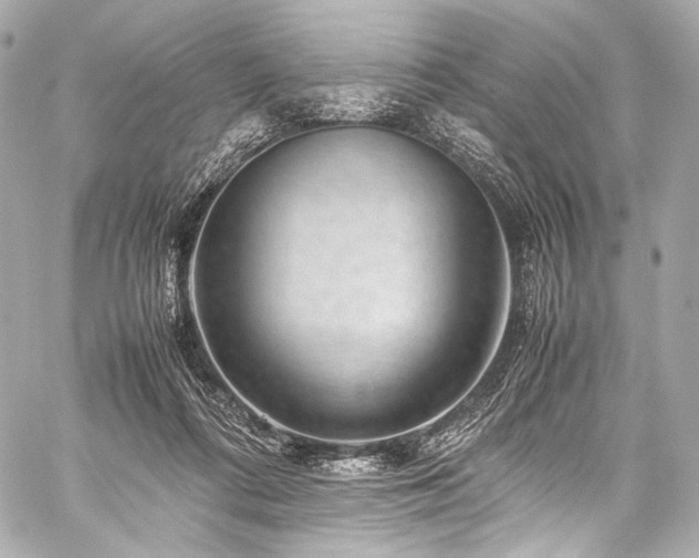 X0000059250312200510141135