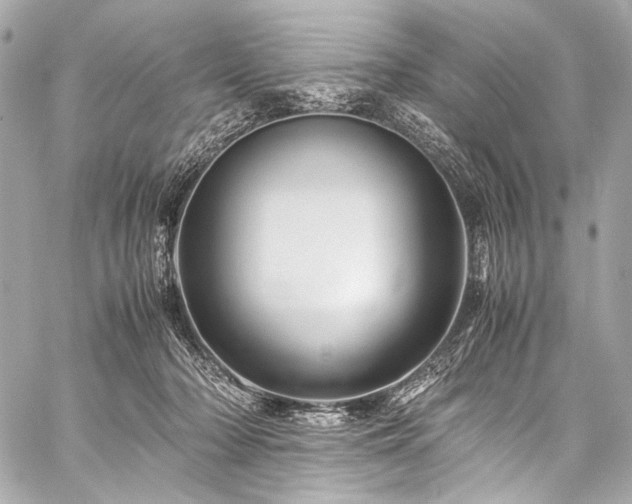 X0000059250318200510141135