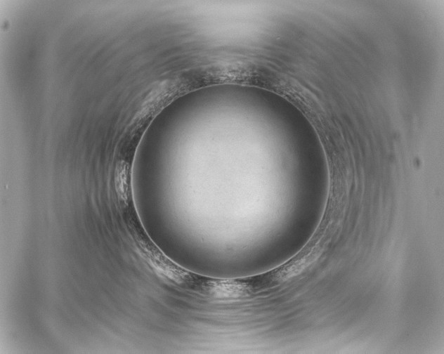 X0000059250336200510141134